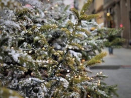 Бывшие жители Припяти установили новогоднюю елку впервые после аварии на АЭС