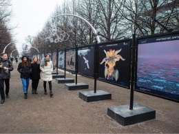 Выставка об Арктике
