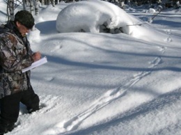 1 января в Алтайском крае стартует зимний маршрутный учет