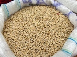 В Амурской области сожгли 240 тонн пшеницы
