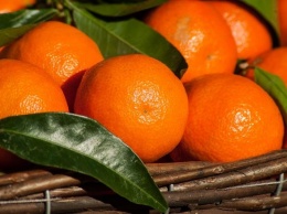 Московские эксперты заявили о невозможности определить качество мандаринов по запаху