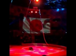 Гимнастка сорвалась с высоты на новогоднем шоу во Владивостоке