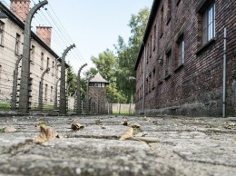 Польские школьники поставили танцевальный номер на тему Освенцима
