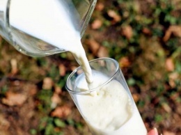 Ученые: 2 стакана молока в сутки помогают худеть в 2 раза быстрее