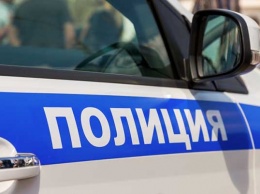 В Петербурге няня похитила 5-летнего ребенка, пока родители отмечали праздники