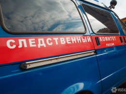 СК возбудил дело после обнаружения возле мусорки в Новокузнецке мертвого младенца