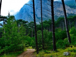 Ялтинский горно-лесной заповедник - в ТОП-10 в России, востребованных для экотуризма-2020