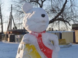 Снежную мышь в Завитинске местные жители оставили без уха