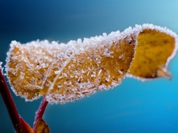 Когда начнутся сильные морозы: 1 ноября на Руси праздновали начало зимы