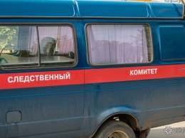 СК прекратил уголовное преследование отомстившего за смерть щенка подростка в Томске