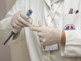 Новые результаты в лечении остеопороза получили новосибирские ученые