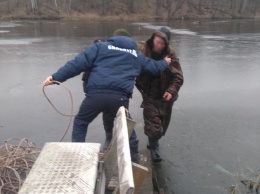 В пруду под Белгородом из-за тонкого льда едва не утонул рыбак