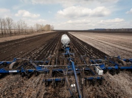Тысячи гектаров невостребованных сельскохозземель вводятся в оборот в Кузбассе