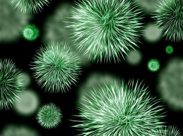 Британские ученые заявили о 1,7 тысячи заразившихся новым "китайским" коронавирусом