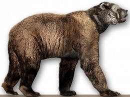 В Антарктиде найдены останки жившего 100 тысяч лет назад доисторического медведя