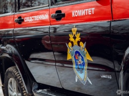 СК завел дело после нападения стаи бродячих собак на школьника в Якутии