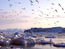 Операция по спасению рыбаков с оторвавшейся льдины завершена на Сахалине