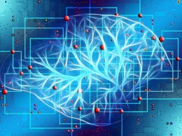В США ученым удалось уменьшить отек мозга посредством инъекции наночастиц