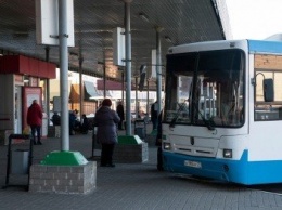 В Белгороде увеличилось число аварий с участием автобусов