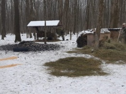 В Белгородских лесах установили кормушки для животных