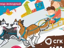 Барнаульцев приглашают покататься на собачьих упряжках