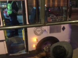 Автобус "подтолкнул" пенсионерку на пешеходном переходе в Кузбассе