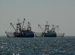 Потеряна связь с терпящим бедствие рыболовецким судном в Охотском море