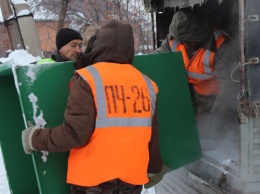 Не все жители Тальменки довольны, что на улицах появились контейнеры для отходов
