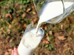 Российские эксперты спрогнозировали подорожание молока и мяса более чем на 10%