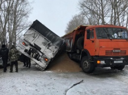 Грузовик рассыпал несколько тонн зерна на кузбасской трассе