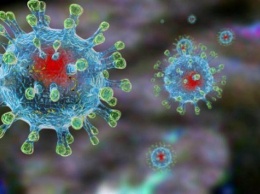 Диетолог Марият Мухина подсказала, как повысить иммунитет и защитить организм от коронавируса