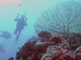 Климатическая бомба: В Красном море выявлен мощный источник токсичных газов
