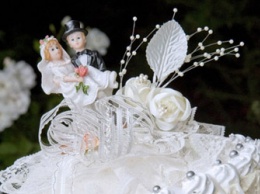 Десять амурских пар решили пожениться 2.02.2020