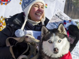 Фестиваль северных ездовых собак пройдет на Алтае 15 февраля