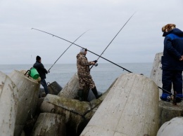 За первую неделю февраля браконьеры выловили около 50 кг рыбы из водоемов области