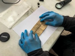Криминалисты расшифровали найденные амурскими поисковиками медальоны погибших под Сталинградом солдат