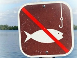 14 февраля в Крыму введут запрет на вылов рыбы