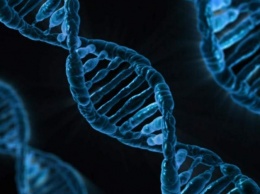 Ученые нашли в ДНК западных африканцев гены "призрачного" человека