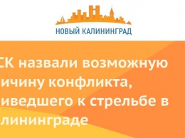 В СК назвали возможную причину конфликта, приведшего к стрельбе в Калининграде