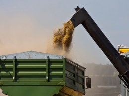 Как складывается цена на зерно и чего ожидают от Зимней зерновой конференции аграрии
