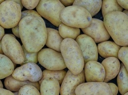 Эксперты рассказали, чем полезен картофель