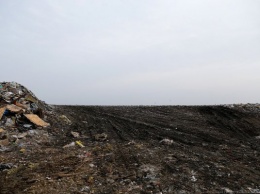Под Багратионовском предприниматель попал под статью за загрязнение почвы