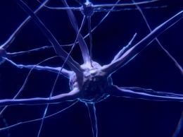 Отложения железа в мозге указывают на деменцию при болезни Паркинсона