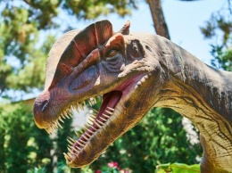 "Научная сенсация": Ученые нашли череп миниатюрного динозавра