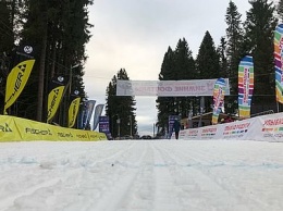 30-метровая ель рухнула на территории лыжного фестиваля "KareliaSkiFest" в Петрозаводске (ВИДЕО)