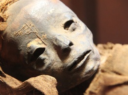 Дочь попыталась превратить мертвую мать в мумию в Санкт-Петербурге