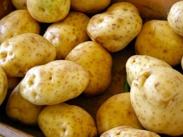 Медики рассказали, как правильно худеть на картошке