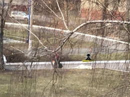 Мужчина умер около школы в Барнауле