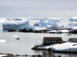 На антарктической станции «Академик Вернадский» появился «кровавый» снег