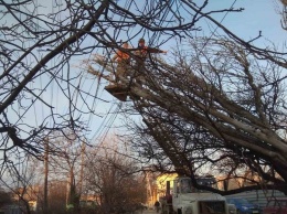 Упавшие деревья, оборванные провода: в Симферополе устраняют последствия непогоды, - ФОТО